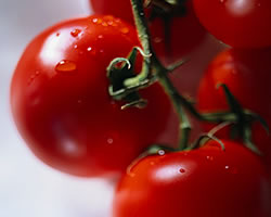 تنظيف الطعام